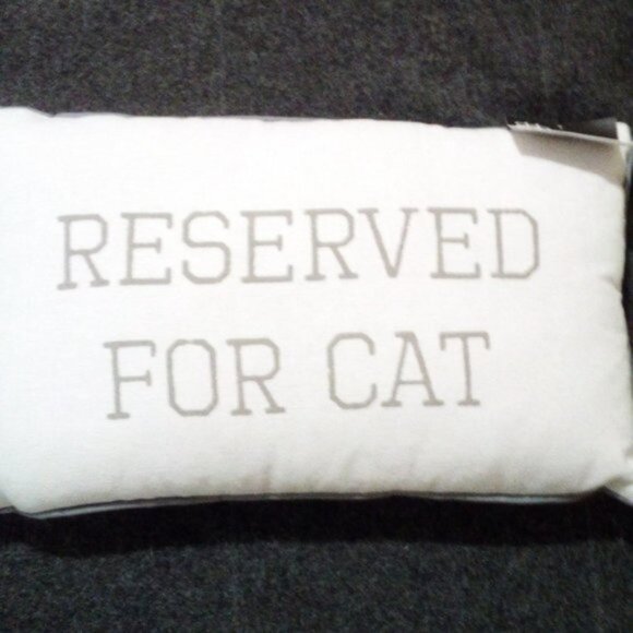 New Reserved For Cat Off White & Gray Cushion Throw Accent Pillow 11.8" x 19.7" - Picture 2 of 4